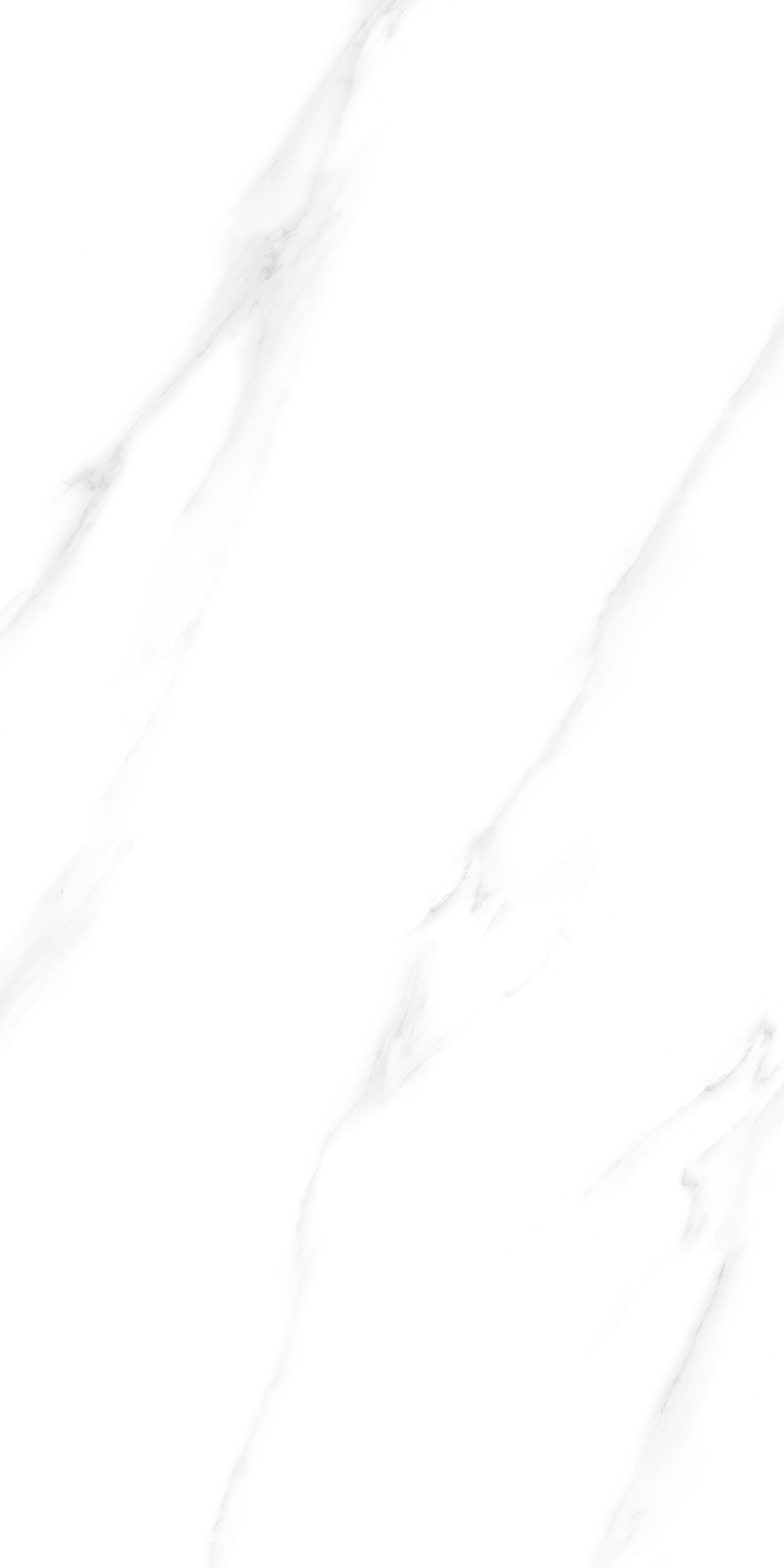 12608